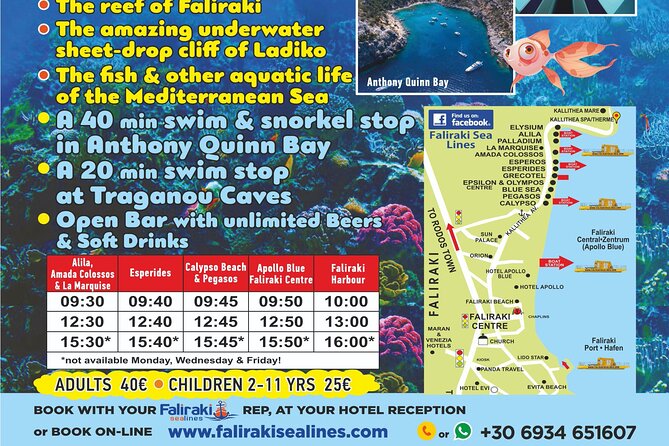 3 Hour Yellow Semi Submarine Swimming Cruise with Drinks Included! - Onboard Drinks: Simple, Helpful, and Not the Main Event