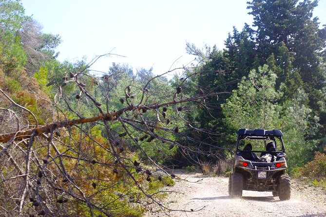 4x4 Buggy Adventures - Off-road Polaris Experience - Driving rules in plain English: who gets behind the wheel