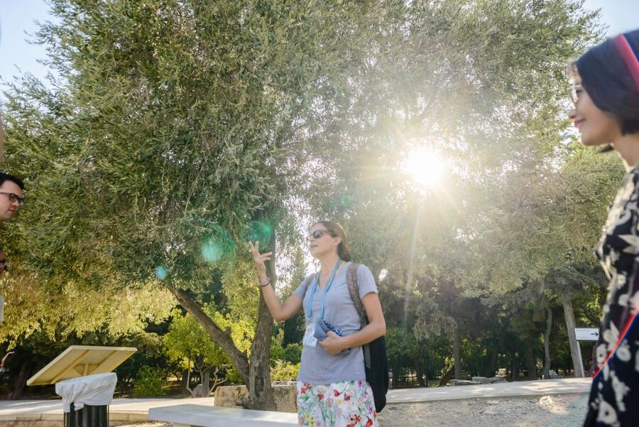 Acropolis: Premium Acropolis and Parthenon Guided Tour - Why This Premium Acropolis and Parthenon Tour Makes Sense