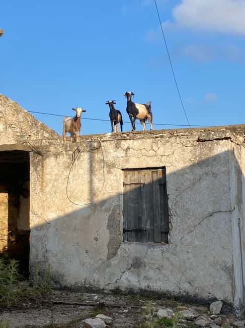 Agia Pelagia: Sunset or Morning Quad Tour & Ghost Town Visit - Getting back to ELA Quad Safari via Achlada