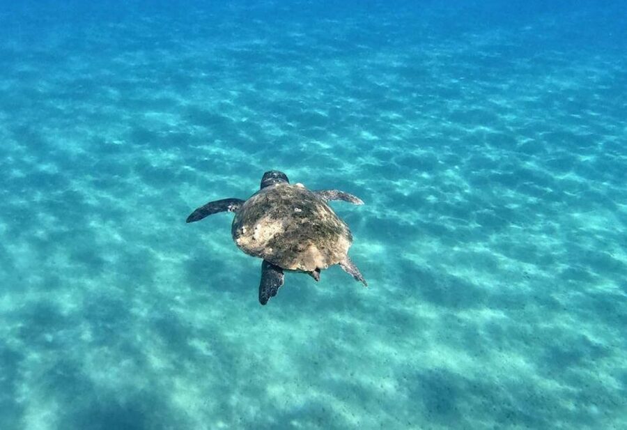 Agios Sostis: Marathonissi, Keri Caves, and Turtle Spotting - Oasi Bay Near the Caves: A Second Chance to Get in the Water