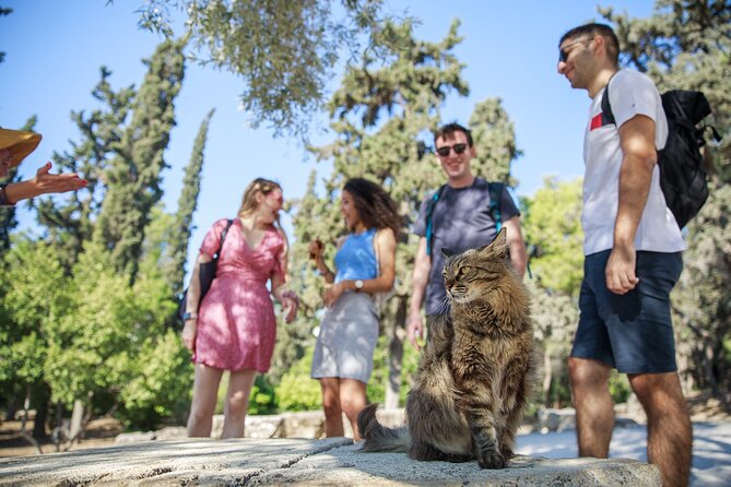 Athens Acropolis and Parthenon Walking Tour - What to pack and how to handle real weather