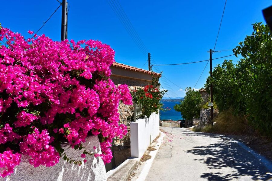 Athens: Agistri, Metopi & Aegina Cruise with Meals & Drinks - First, You’re Not Doing This Like a Typical Ferry Day