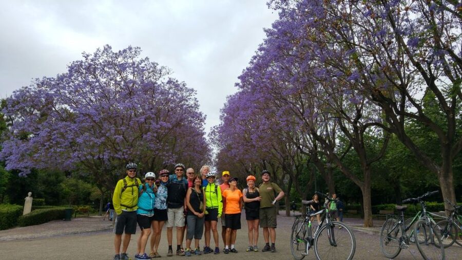 Athens: City Bike tour with Acropolis Visit Option - Key highlights to look for on this Athens bike ride