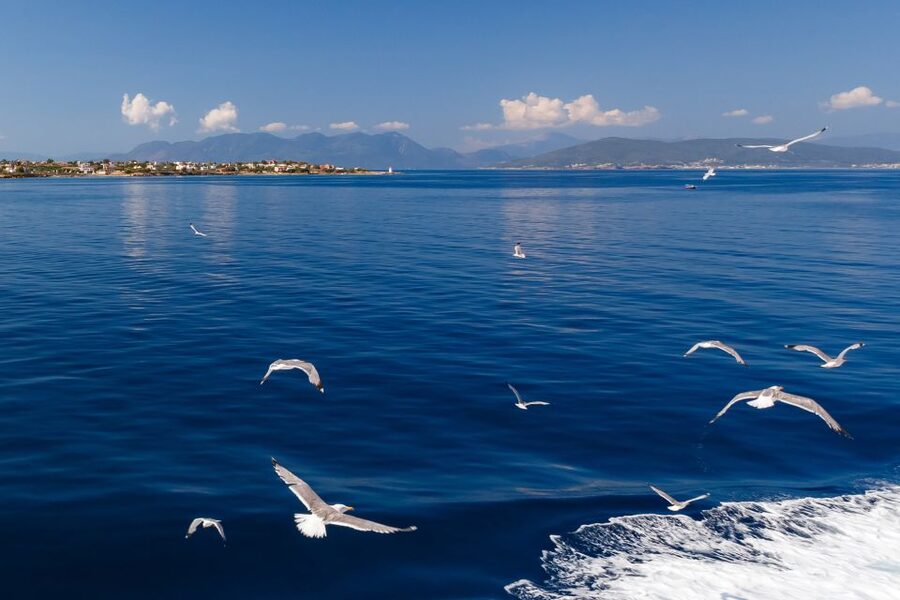 Athens: Guided Day Trip to Aegina Island with Swimming - What to bring so the day stays fun, not annoying