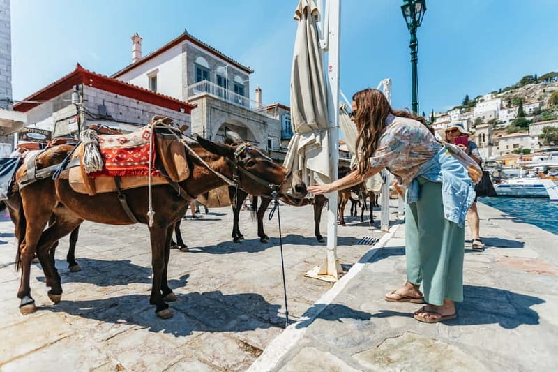 Athens: Hydra, Poros & Aegina Day Cruise with Lunch - Key points that matter