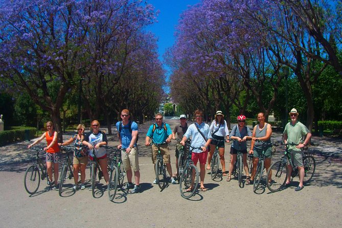 Athens Small Group E-Bike Tour - National Observatory View: The Walk That Makes the Ride Worth It