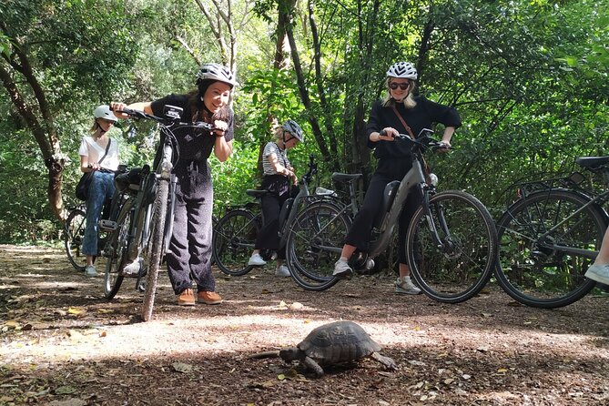 Athens Small Group E-Bike Tour - Roman Agora, Panathenaic Stadium, and the Big City Center Hits