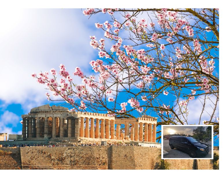 Athens: Wheelchair accessible Top Sights Half-Day Tour - Price and value: is $282 per group up to 4 a fair deal?