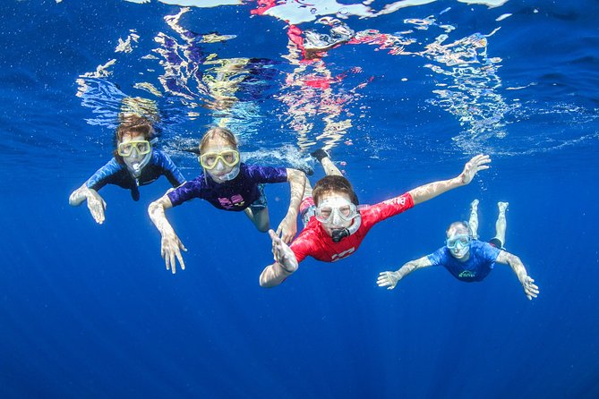 Boat Trip in Crete with Guided Snorkeling and Free Pick up! - Key highlights worth planning around