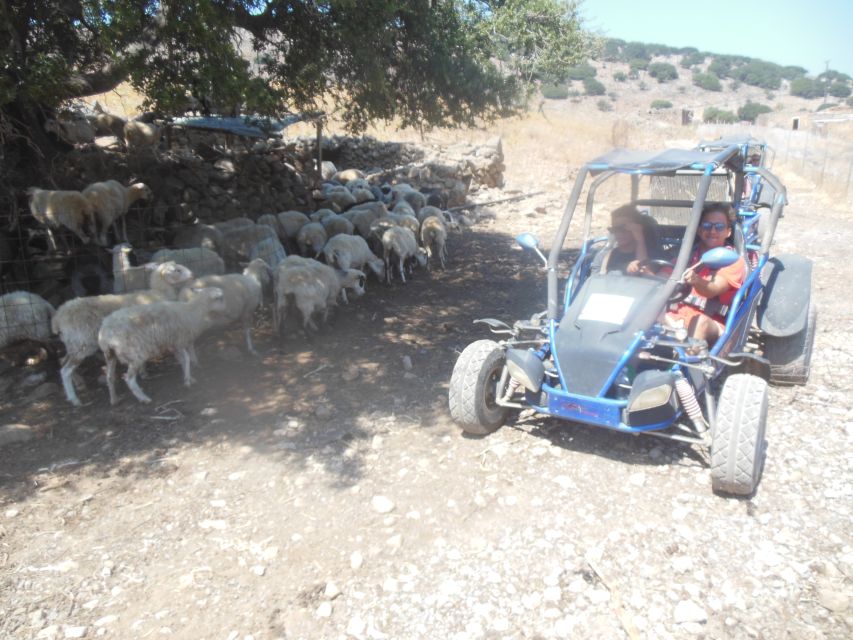Buggy safari Crete (Transfer and lunch) analipsi- hersonisos - How the Day Actually Feels: Pace, Dust, and Time That Can Run Long