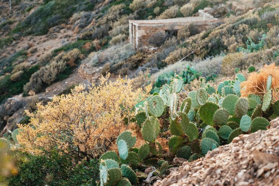 Cape Sounion & Temple of Poseidon: Small Group Tour - Cape Sounion Clifftop Photo Break: The Moment Before the Ruins