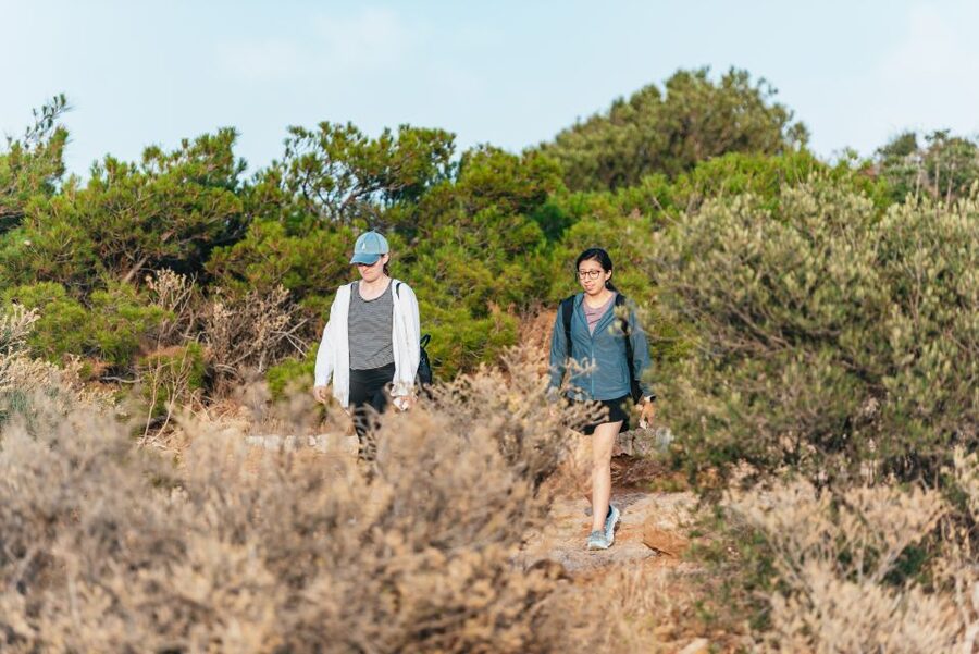 Cape Sounion & Temple of Poseidon: Small Group Tour - What to Bring So the Day Feels Effortless