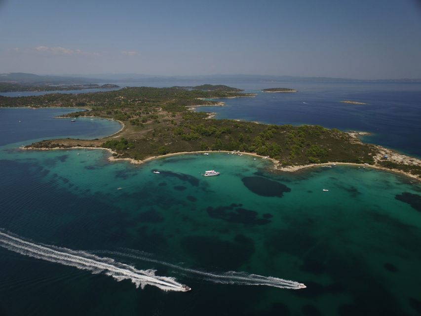 Chalkidiki: Blue Lagoon & Ammouliani Island Cruise & Lunch - The Glass-Bottom Boat Over Yellow Corals