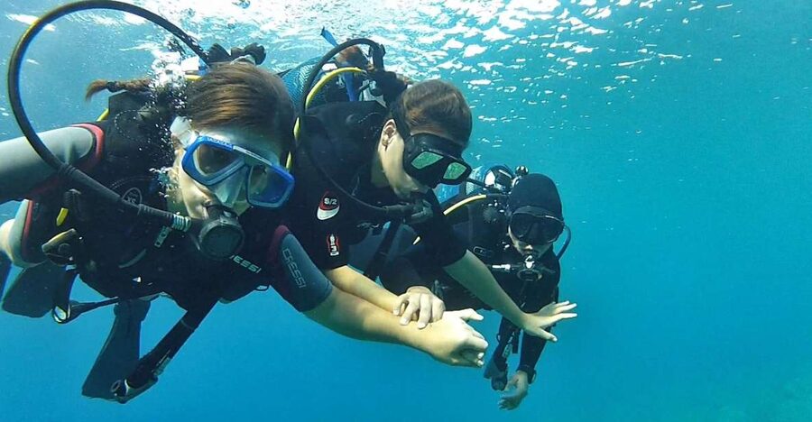Chalkidiki: Scuba Diving for Beginners in Kassandra - Shallow-Water Skills First, Then a Guided Underwater Experience