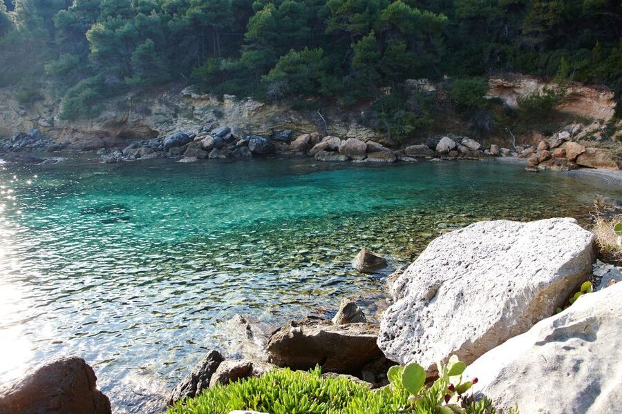 Chalkidiki: Scuba Diving for Beginners in Kassandra - Mediterranean Sea Life You May Spot in Clear Visibility