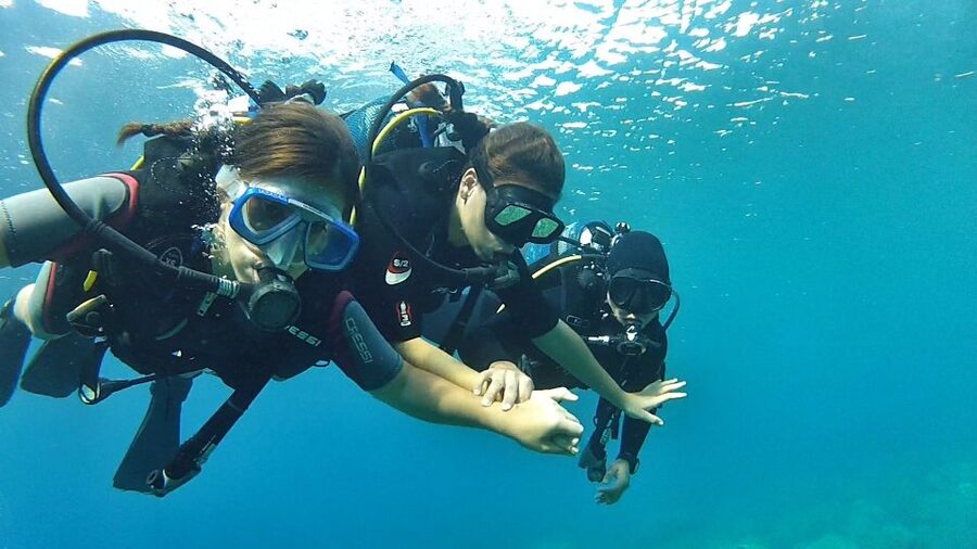 Chalkidiki: Scuba Diving for Beginners in Kassandra - Price and Value: Is $92 Worth It?