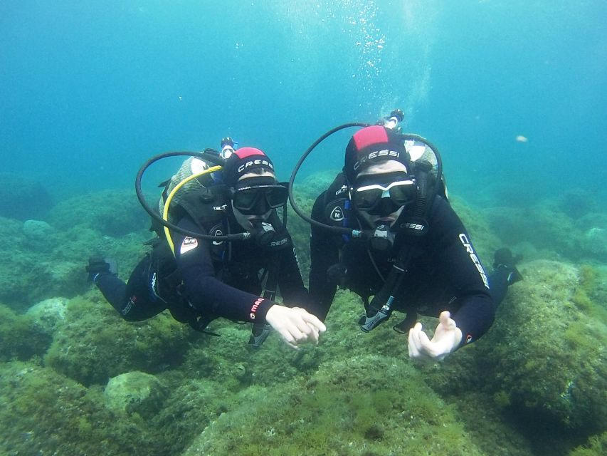 Chalkidiki: Scuba Diving for Beginners in Kassandra - What to Bring, What to Expect in Terms of Health, and Weather Changes
