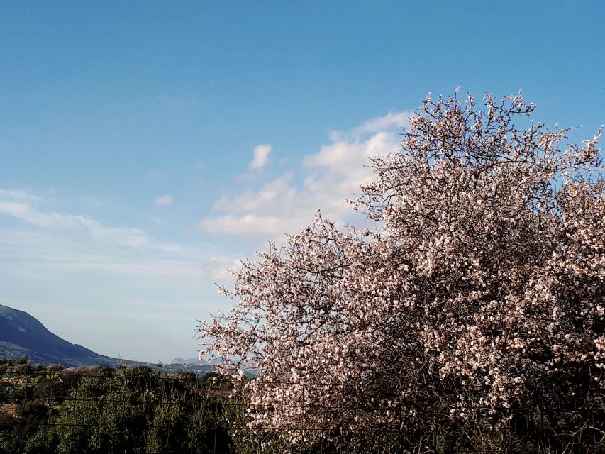 Chania: 7 Villages of Apokoronas Tour with Lunch - Lunch at a village kafeneio, plus what makes it worth the time