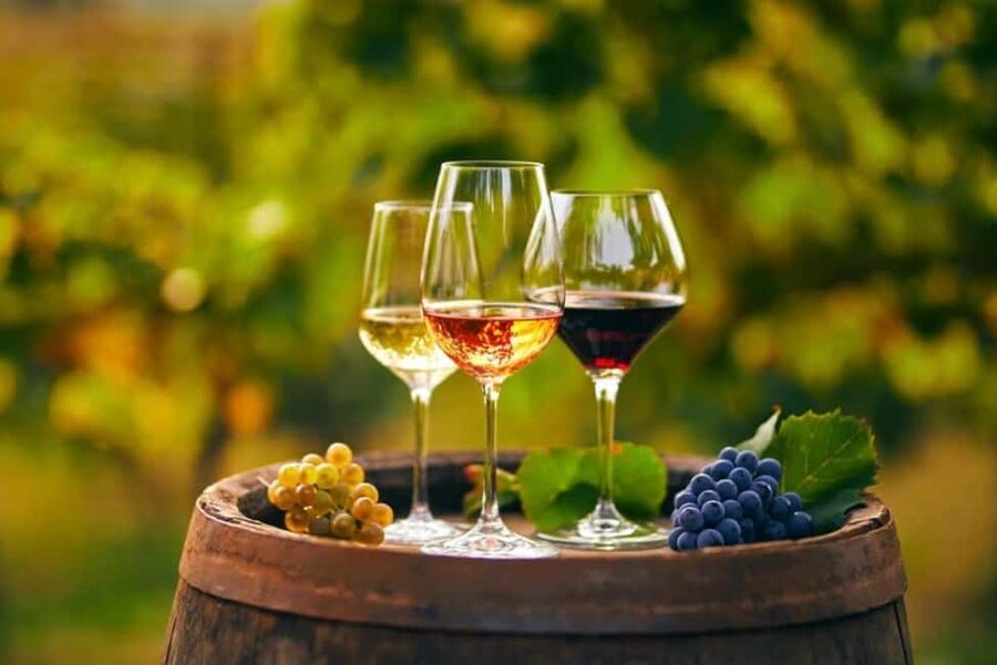 Chania Area: Food Tasting Tour with Winery Visit - A 7-hour Chania food-and-wine route that feels like producer hopping