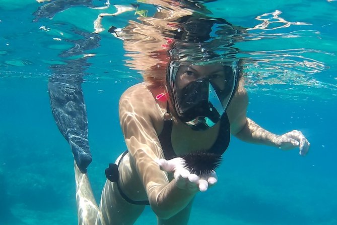 Chania: Boat Trip with Guided Snorkeling Tour & SUP - Photos and action cameras: a nice extra, but double-check your email