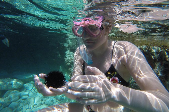 Chania: Boat Trip with Guided Snorkeling Tour & SUP - Who should book this snorkeling and SUP tour
