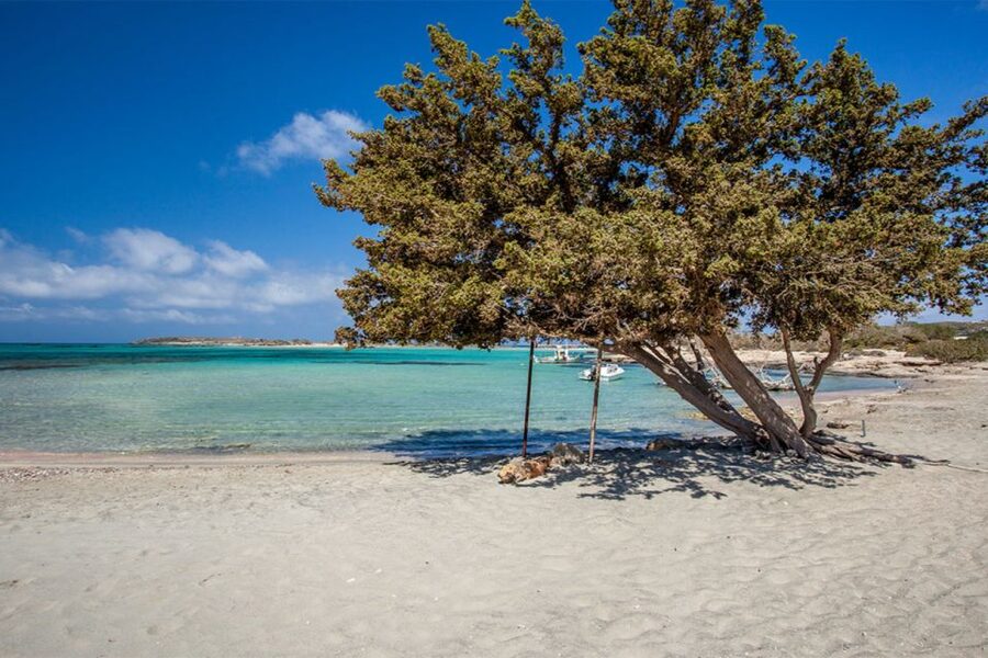 Chania: Elafonisi and Milia Mountain with Loungers and Lunch - What to bring, what to skip, and how to make the day easier