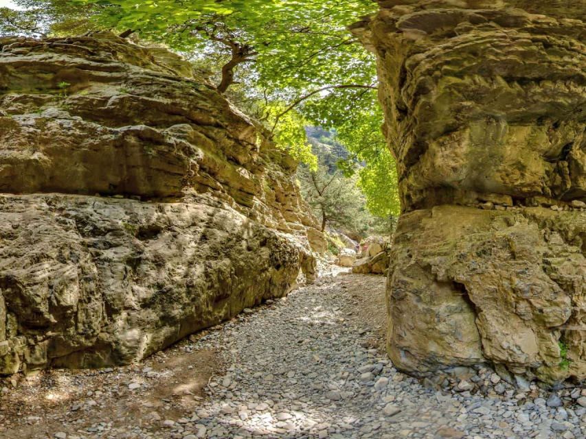 Chania: Imbros Gorge and Libyan Sea Day Tour - From Chania to the White Mountains: The Bus Ride You’re Signing Up For
