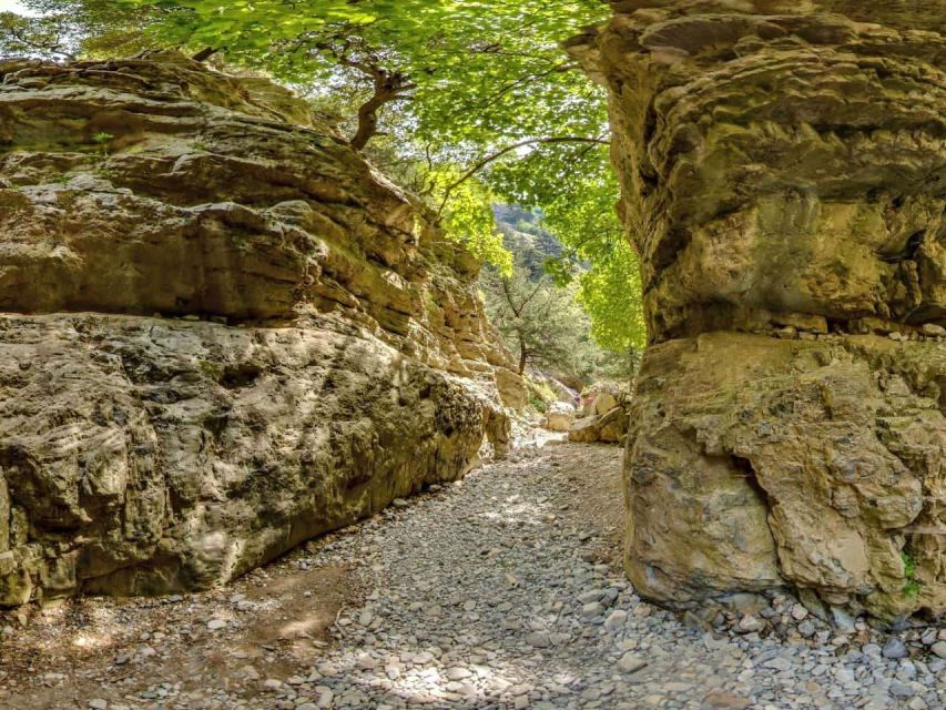 Chania: Imbros Gorge and Libyan Sea Day Tour - Timing, Energy, and Who This Tour Fits Best
