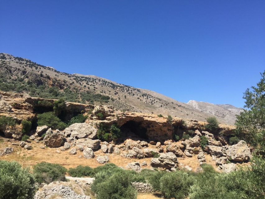 Chania: Imbros Gorge Hiking Tour & Beach Relaxation - What the guide brings to the gorge: plants, geology, and an old road