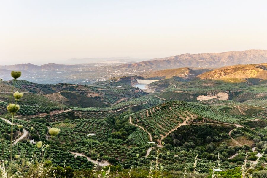 Chania: Off-Road Tour at Sunset - The Meze Dinner and Wine: Included, Casual, and Potentially Hit or Miss