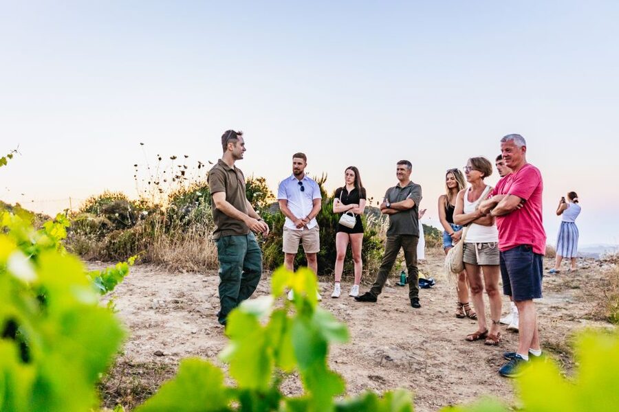 Chania: Off-Road Tour at Sunset - Price and Value: Is $93 Worth It for Off-Road, Sunset, and Dinner?