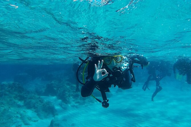 Chania: Scuba Diving for Beginners - Why This Beginner Scuba Session Works So Well in Chania