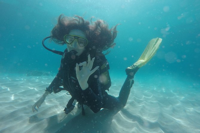 Chania: Scuba Diving for Beginners - Marine Life Off Almyrida: What You Can Expect to See