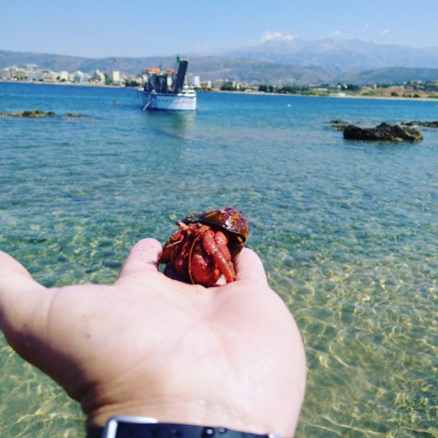 Chania Town: Glass-Bottom Boat Cruise to Thodorou & Lazareta - From Chania Old Port to Thodorou: Where the Sea Sets the Tone