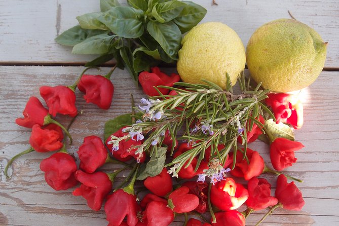 Cooking class, traditional Greek cuisine, on a Greek island - What you actually learn, beyond the recipes