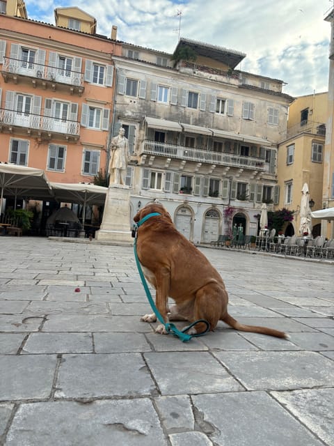 Corfu: Dog Sightseeing Tour - Saint Spiridon Church, a major landmark with a calmer pace
