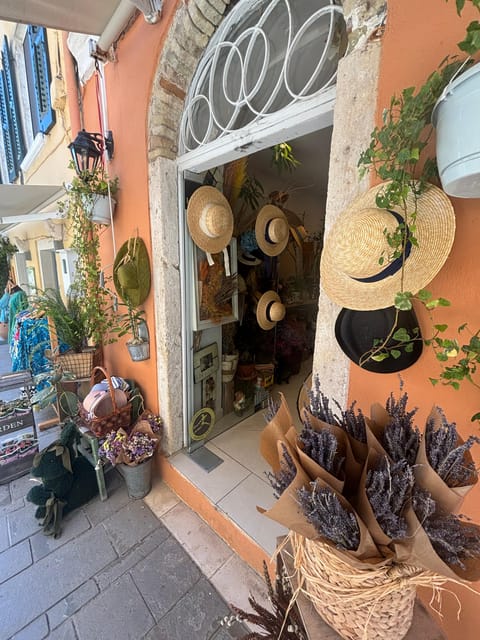 Corfu: Dog Sightseeing Tour - Where the tour starts, and how the small-group format feels