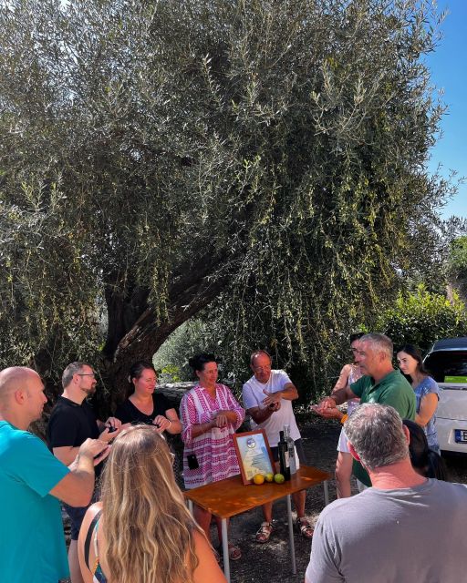 Corfu: Greek Cooking Class & Olive Oil Tasting - Wood-Oven Greek Cooking Class: From Tzatziki to Beer-Marinated Pork