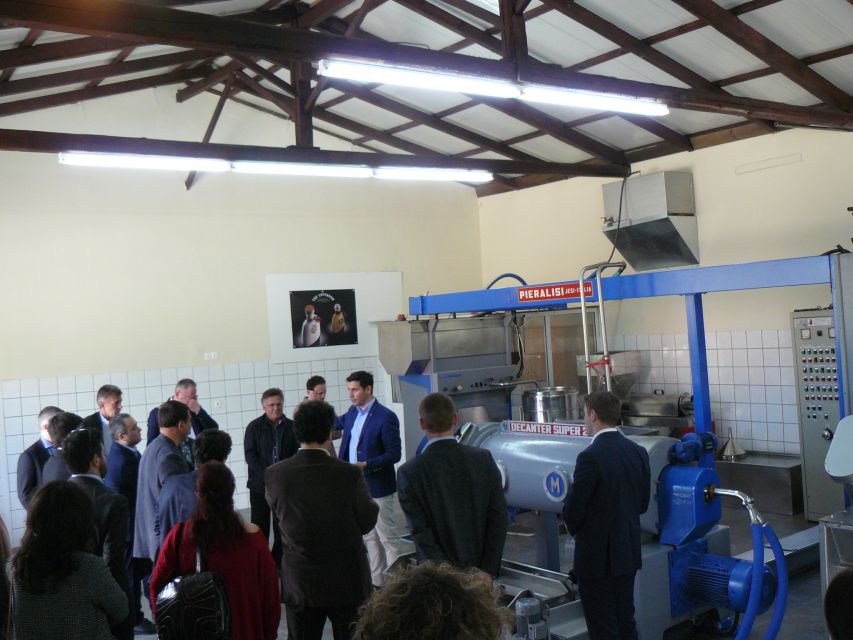 Corfu: Olive Oil Experience - The Governor's Olive Mill - Key things to notice before you go
