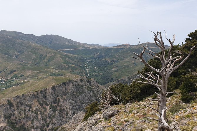 Cretan Safari – 4x4 Adventure to Preveli Beach with Lunch - Preveli Beach palm delta: the south-coast payoff