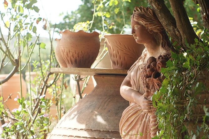 Cretan Wines & Olive oil tour - The treasures of Crete - How the small group (max 8) changes the vibe