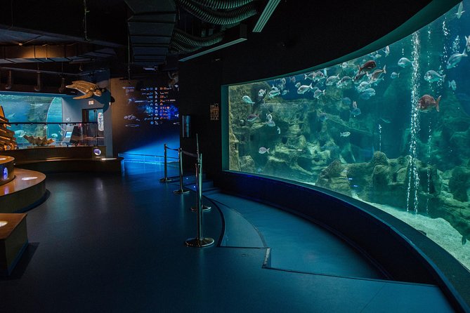 CRETAquarium Entrance Ticket in Crete - Your visit flow: a simple itinerary that works