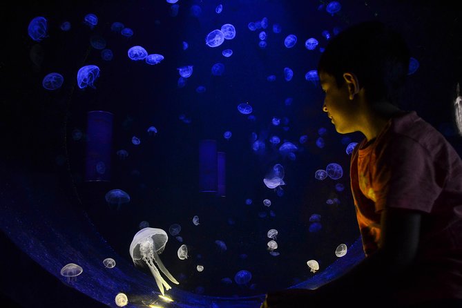 CRETAquarium Entrance Ticket in Crete - Audio guide for 3 euros: when it’s worth paying extra