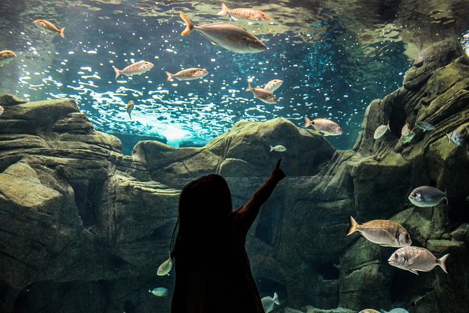 CRETAquarium Entrance Ticket in Crete - Getting there without stress: meeting point and quick entry