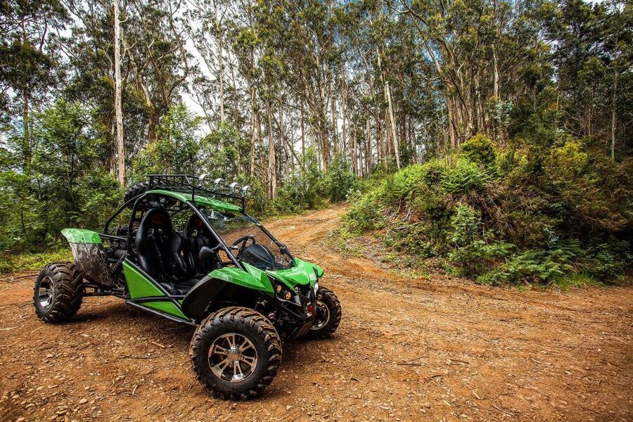 Crete buggy safari - Off-road 700m altitude, goats, and flora and fauna time