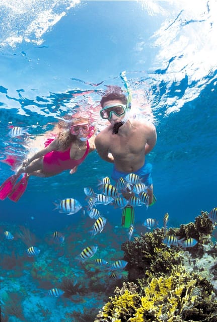 Crete: Coastline Snorkeling Cruise from Hersonissos Port - Stop 1: Saint George Beach for calm swimming and easy snorkeling