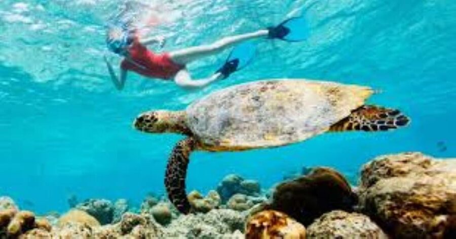 Crete: Coastline Snorkeling Cruise from Hersonissos Port - Stop 2 and weather changes: how to think about the second beach