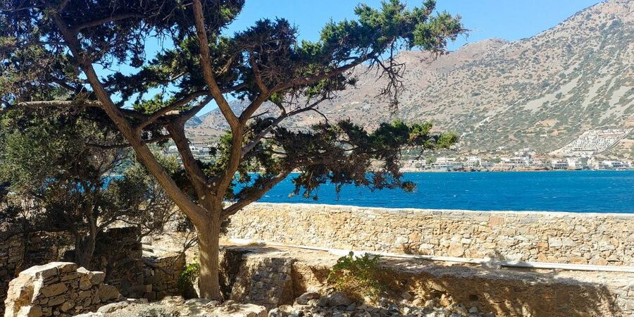 Crete: Day Trip to Agios Nikolaos and Spinalonga Island - Transportation and timing: pickups, comfort, and the long drop-off ride
