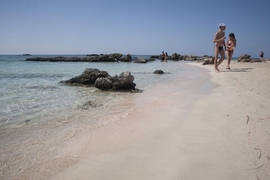 Crete: Elafonisi Pink Beach Excursion - Wildlife Context: Sea Turtles and Migratory Birds on the Same Beach Day